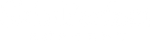 Skin Perfect Academy logo